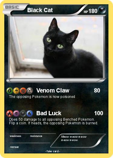 Pokemon Black Cat