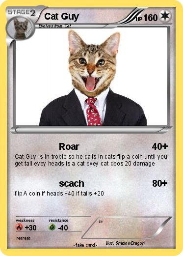 Pokemon Cat Guy