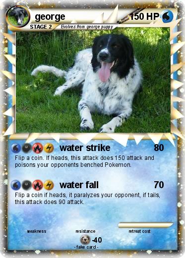 Pokemon george