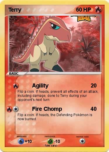 Pokemon Terry