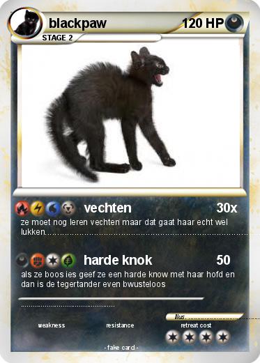 Pokemon blackpaw
