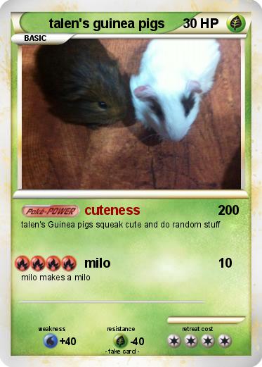 Pokemon talen's guinea pigs