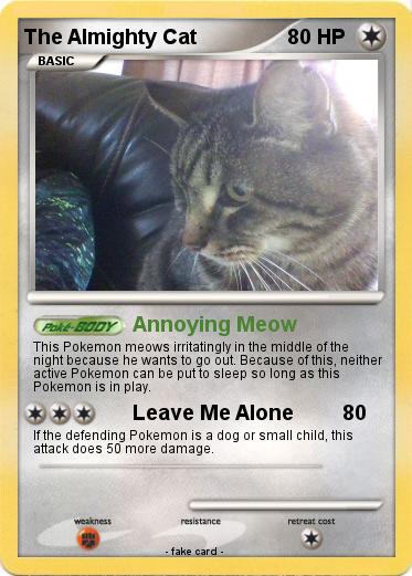 Pokemon The Almighty Cat