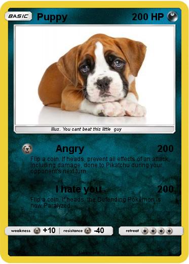 Pokemon Puppy