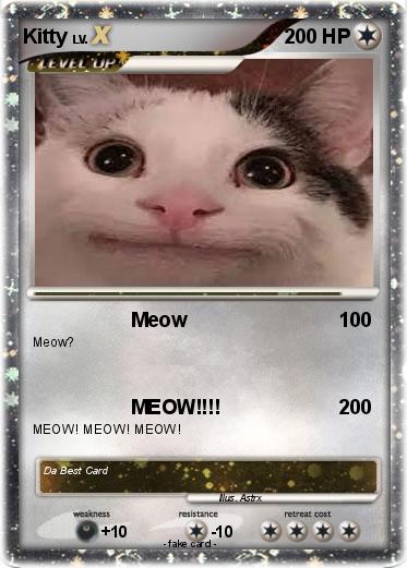 Pokemon Kitty