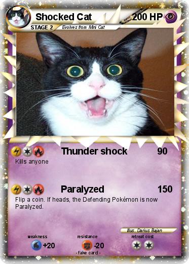 Pokemon Shocked Cat