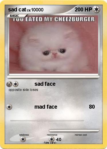 Pokemon sad cat