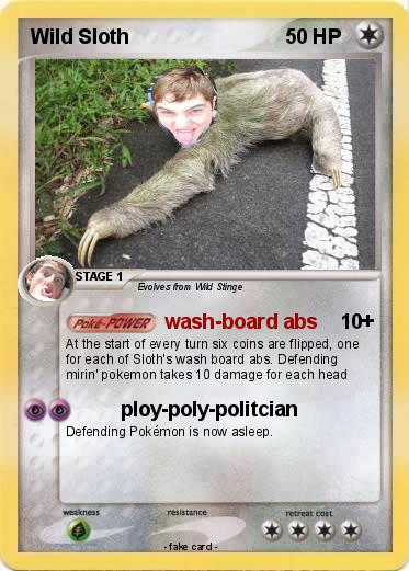 Pokemon Wild Sloth
