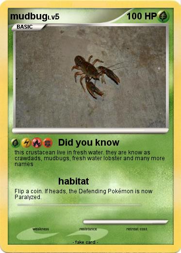 Pokemon mudbug
