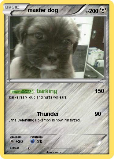 Pokemon master dog