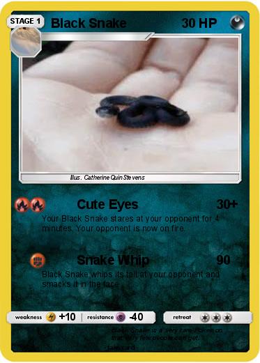 Pokemon Black Snake