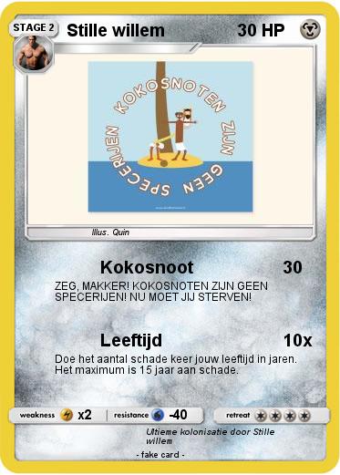 Pokemon Stille willem