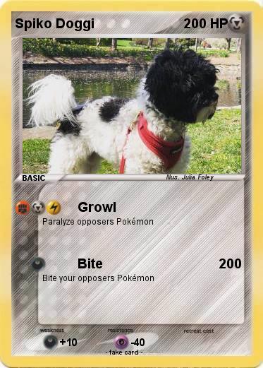 Pokemon Spiko Doggi