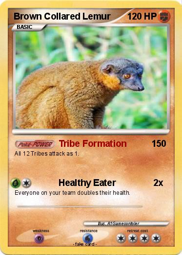 Pokemon Brown Collared Lemur