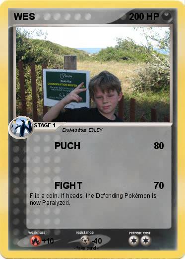 Pokemon WES