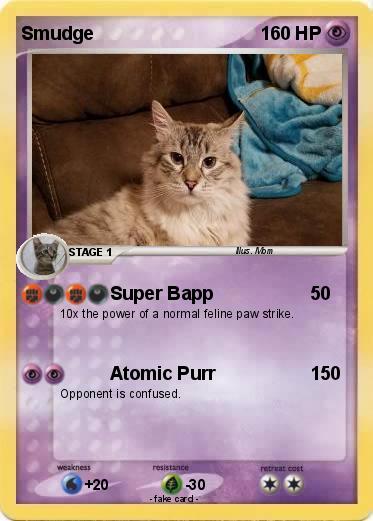 Pokemon Smudge