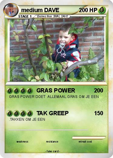 Pokemon medium DAVE