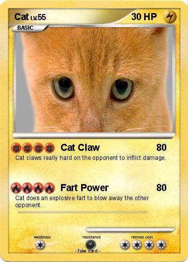 Pokemon Cat