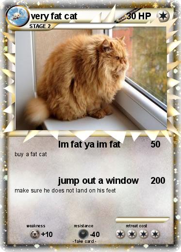 Pokemon very fat cat