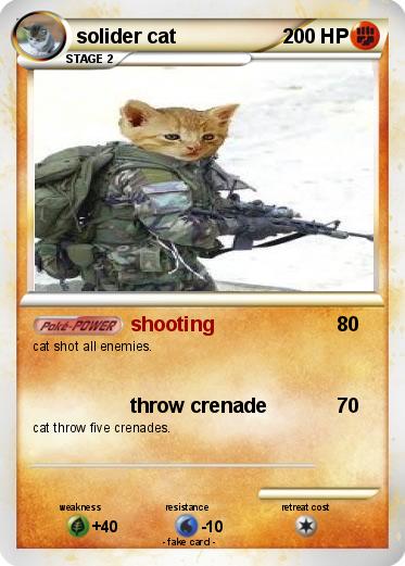 Pokemon solider cat