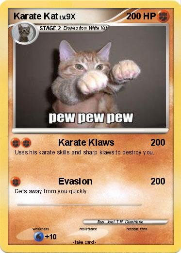 Pokemon Karate Kat