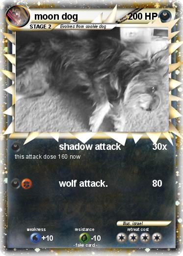 Pokemon moon dog