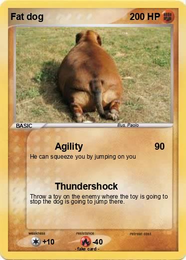 Pokemon Fat dog