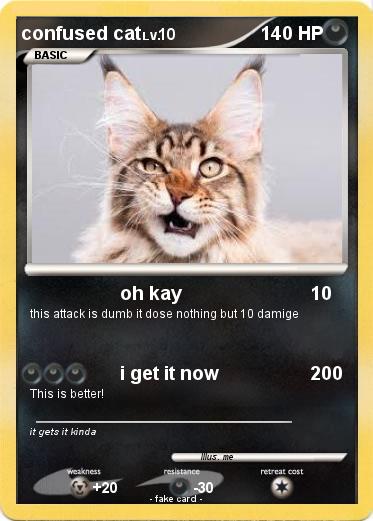 Pokemon confused cat