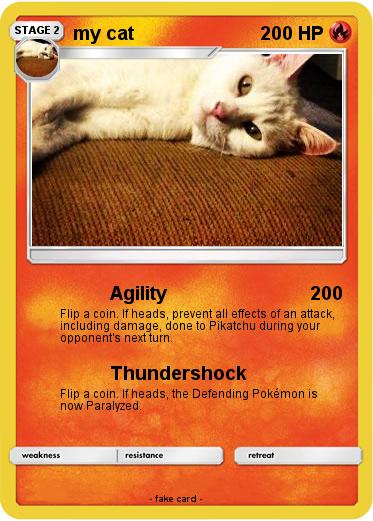 Pokemon my cat