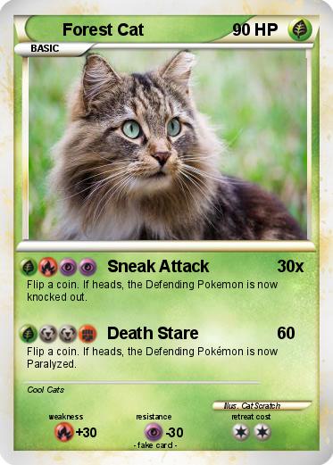 Pokemon Forest Cat