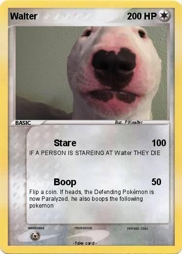 Pokemon Walter