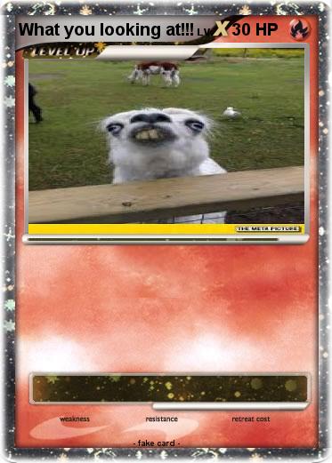 Pokemon What you looking at!!!