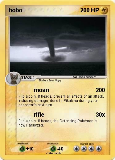 Pokemon hobo