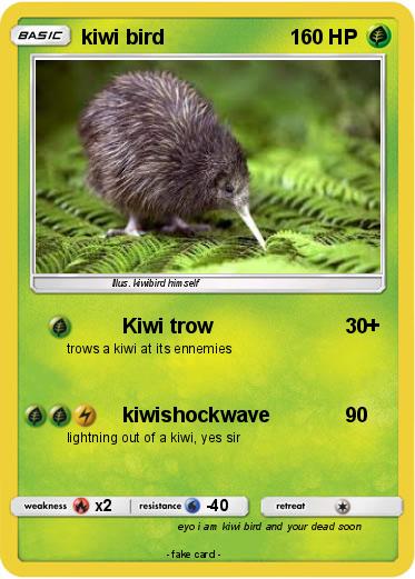 Pokemon kiwi bird