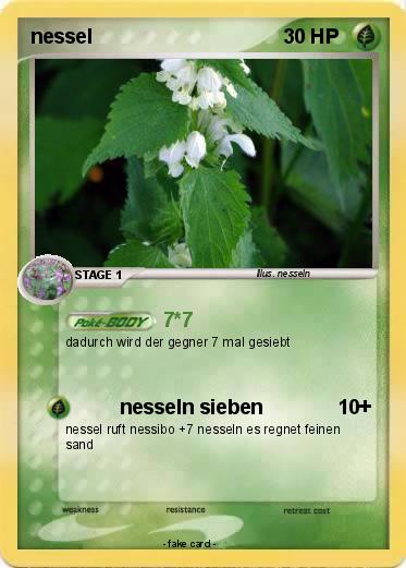 Pokemon nessel