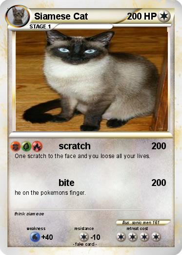 Pokemon Siamese Cat