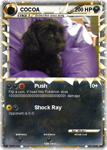 Pokemon COCOA