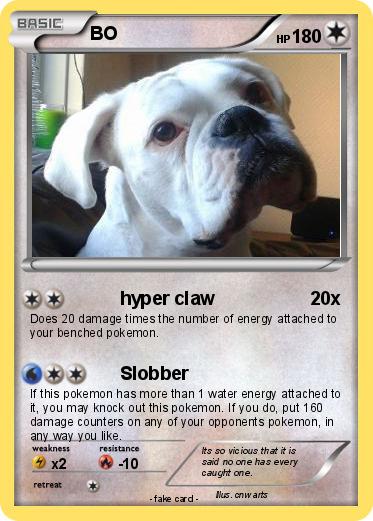 Pokemon BO