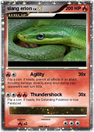 Pokemon slang erion