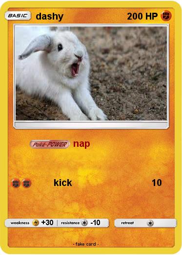 Pokemon dashy