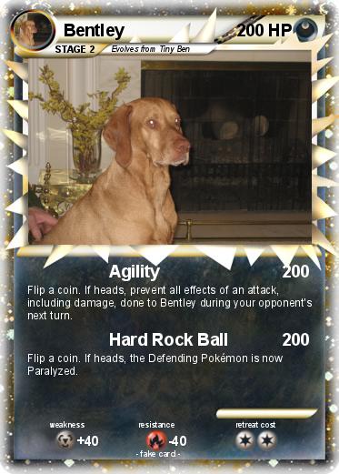 Pokemon Bentley