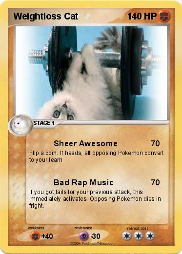 Pokemon Weightloss Cat