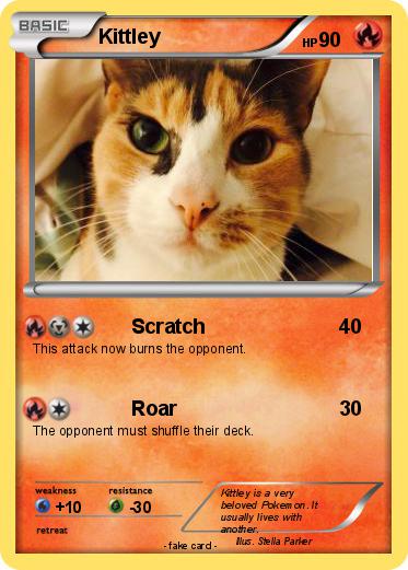Pokemon Kittley
