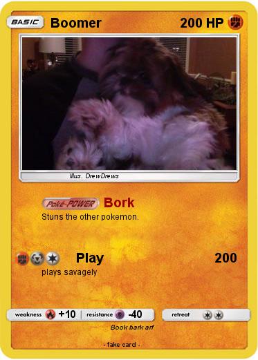 Pokemon Boomer