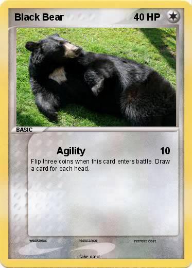 Pokemon Black Bear