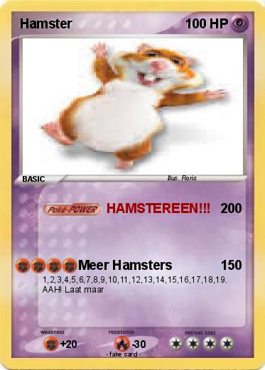Pokemon Hamster