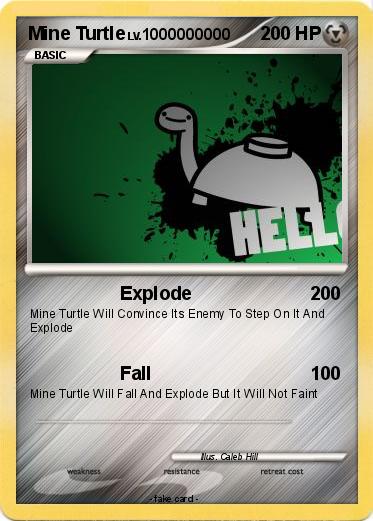 Pokemon Mine Turtle