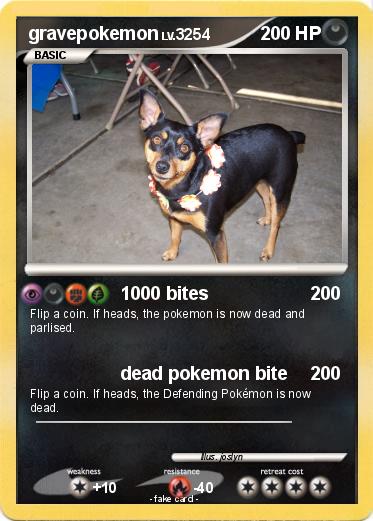 Pokemon gravepokemon