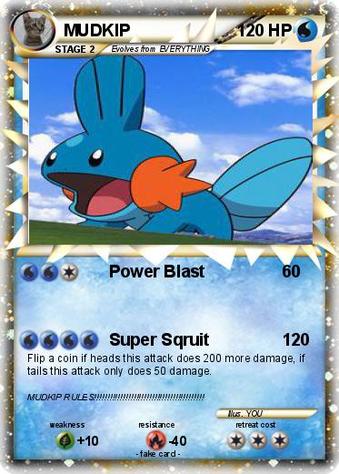 Pokemon MUDKIP