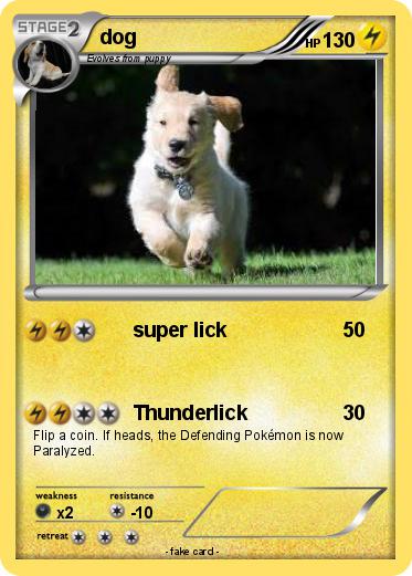 Pokemon dog